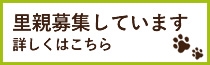 里親募集しています。